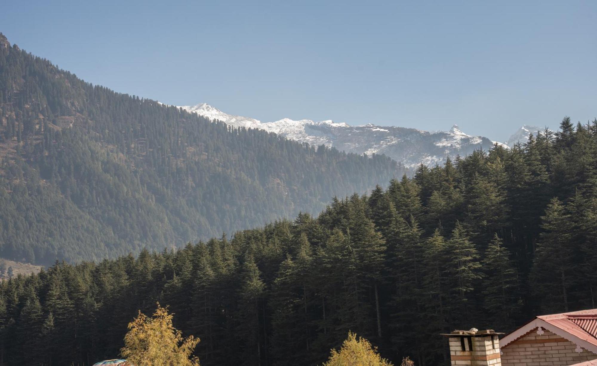 The Conifer Hotel Manali  Luaran gambar